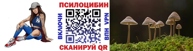 Псилоцибиновые грибы GOLDEN TEACHER  сайты даркнета наркотические препараты  Енисейск  OMG ССЫЛКА 